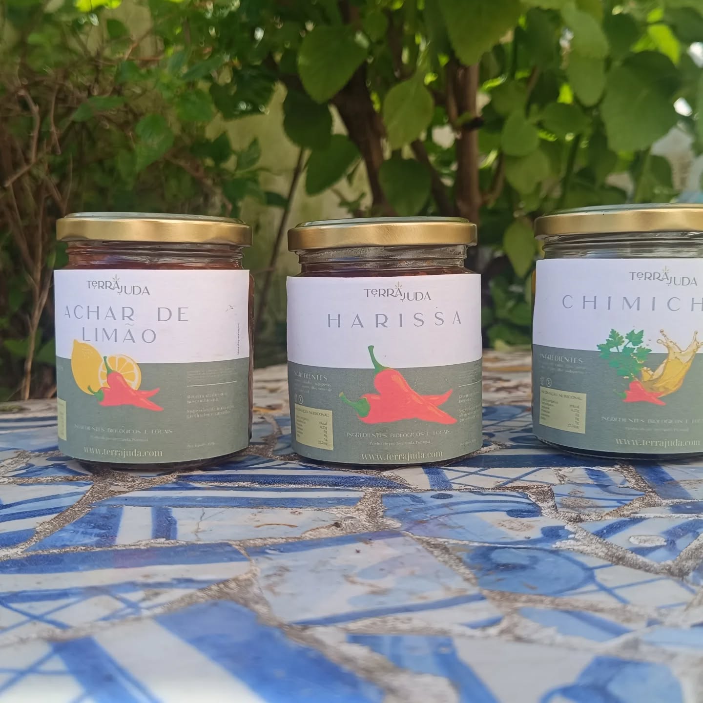 🇺🇸 Ready to start selling the first ones.
Harissa and extra hot, chimichurri, and lemon achar
🇵🇹 Pronta a começar a vender os primeiros molhos de novo.
Harissa e extra picante, chimichurri e achar de limão.