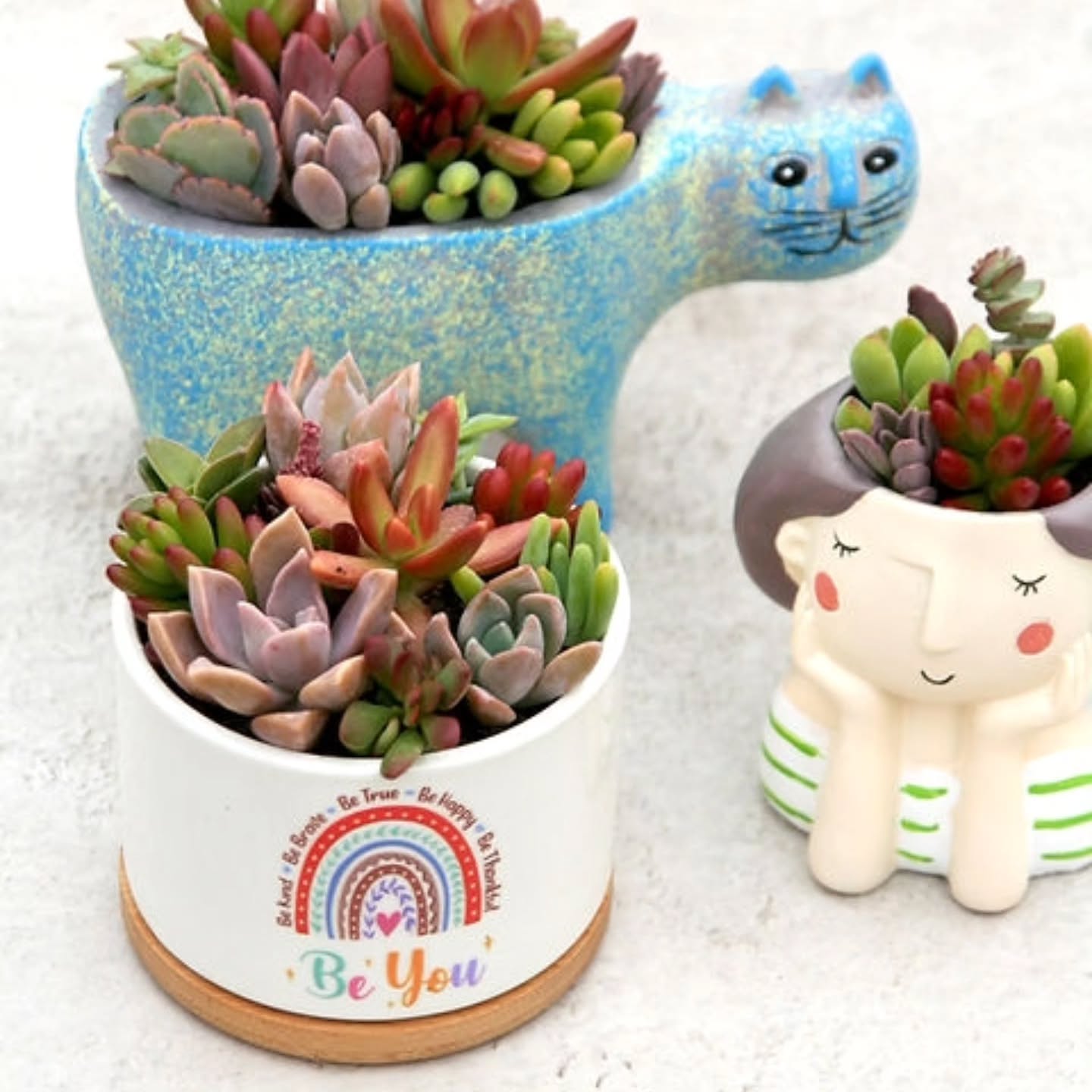 Inspirationen für deine Sukkulenten
#sukkulentengärtnerin #sukkulente #sukkulentengarten #kaktusgaertnerei #sukkulentenstecklinge