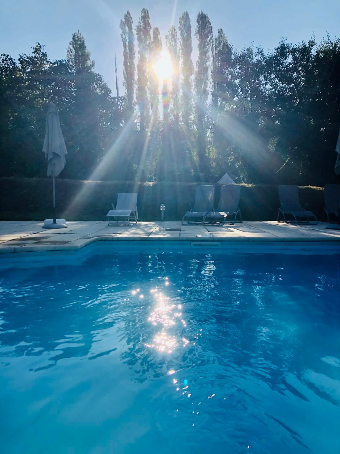 Dreaming of a new a new pool or renovating the one you already have? For your pool project get in touch by sending me a dm or visit my website www.pristinepiscines.fr #poolrenovation #newpools #lifeinfrance #outdoorliving #piscine