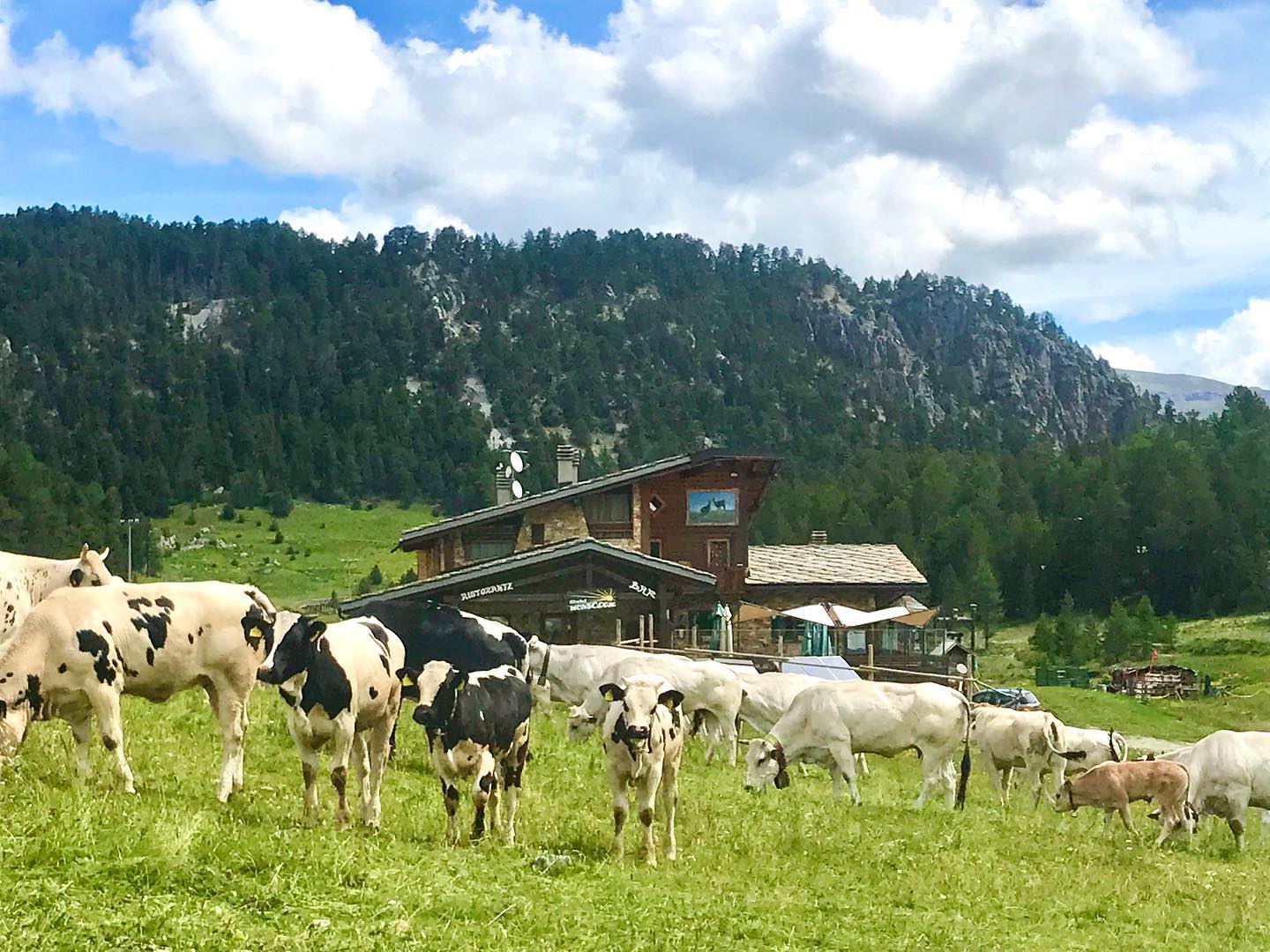 ☀️ Si è conclusa la stagione estiva ☀️ grazie a tutti quelli che ci sono stati, ci rivediamo a Dicembre! ❄️
#chaletmonsoleil #claviere #winteriscoming #estate #summer #mountain #italianfood #foodlover #simplepleasures #turismovialattea #alps #italy