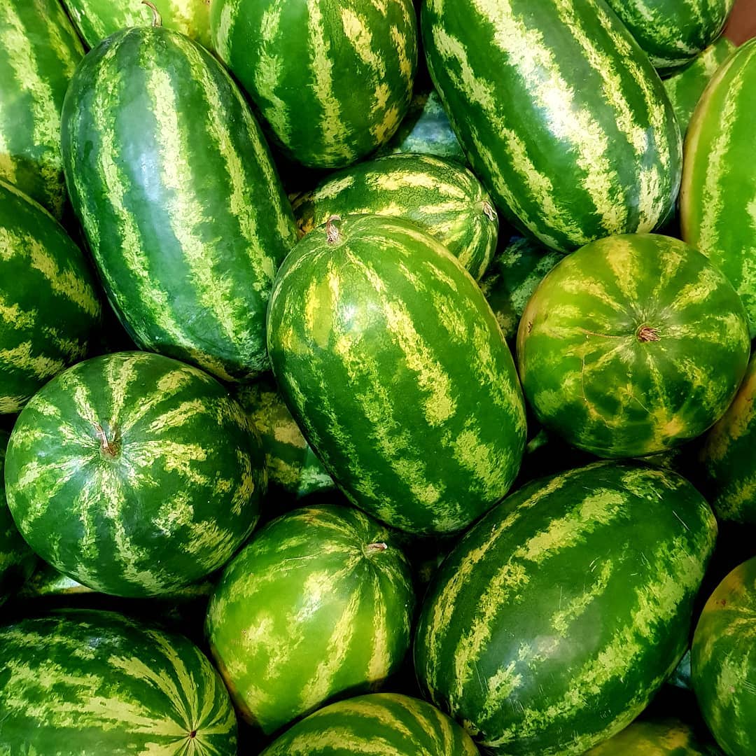 #nofilter #watermelon #watermelons #wassermelone #karpuz #anguria #sandia #lubenica #melancia #arbuz #melon #melone #fruit #wholesale #fruits #foodblogger #foodie #foodporn #food #vitamin #water #green #seedless #costarica #southamerica #hamburg #germany