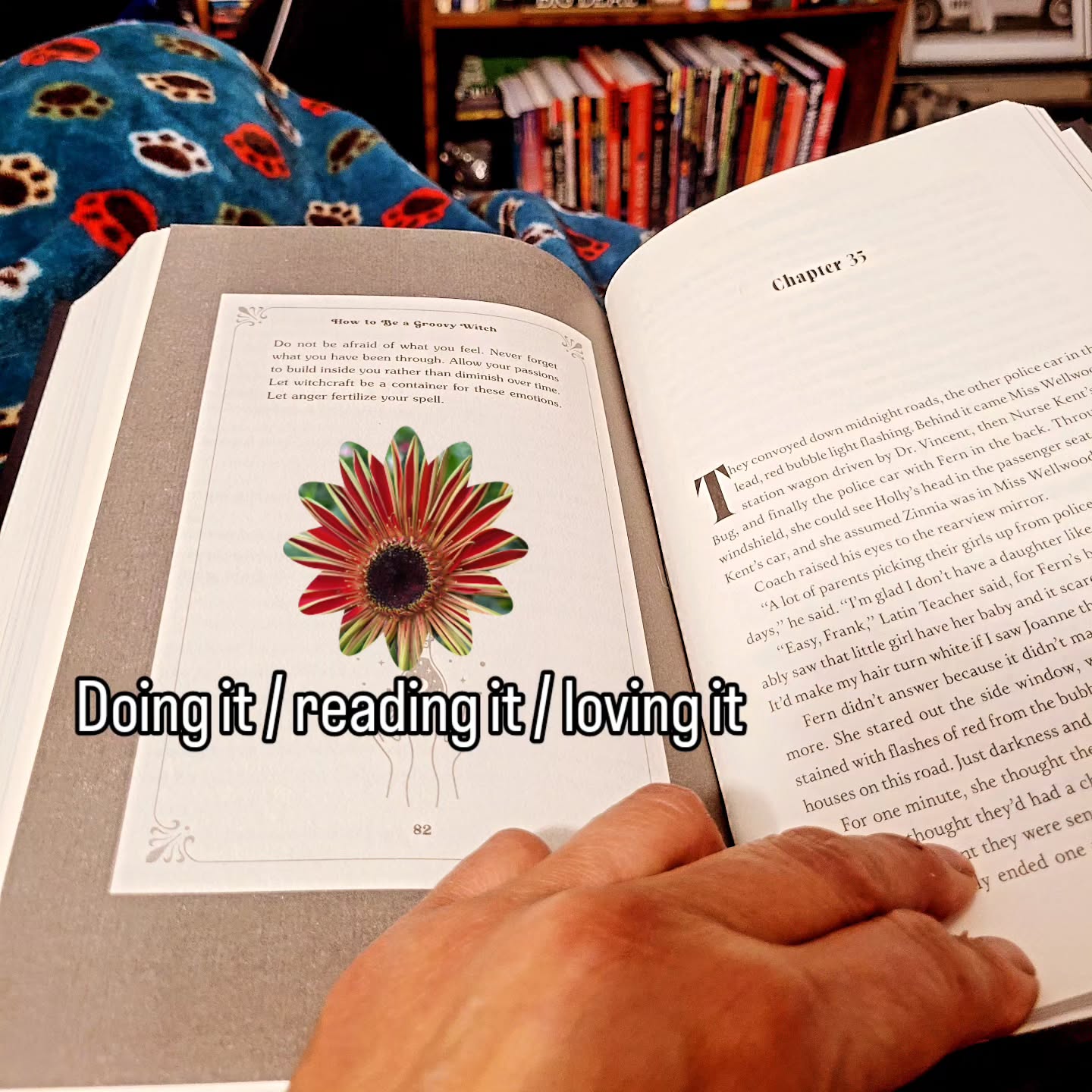 From book 6 to the next good read. I just may hit my goal of 8 books read for the month 🌟😊🌟
Next on the list ... a library book club selection:
Blob: A Love Story by Maggie Su
Yep. A woman finds a sentient blob and molds it into her ideal boyfriend.
🥰💀🥰💀 Whoo-hoo!
What fun story is next on your list?
Happy reading 📚
#boyfriends #weirdfiction #goodstories #booksforme #readersandwriters