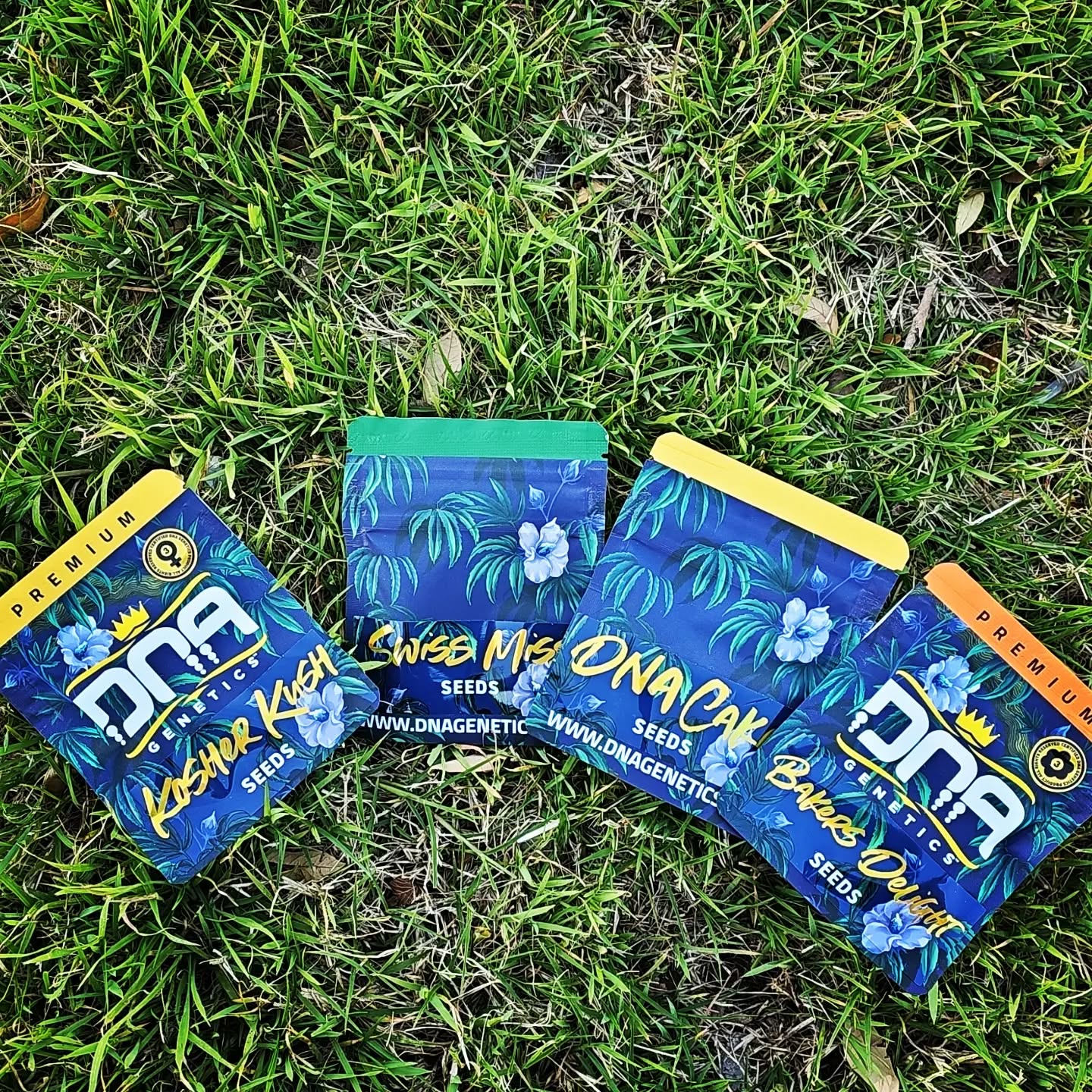 It's Gardening season! Come get your seeds before they are gone! #novelty #dnagenetics #heychiefpassthatshit #theglasshousetx #dallas #dfw #tripleddd #tripled #grow #livelikeme