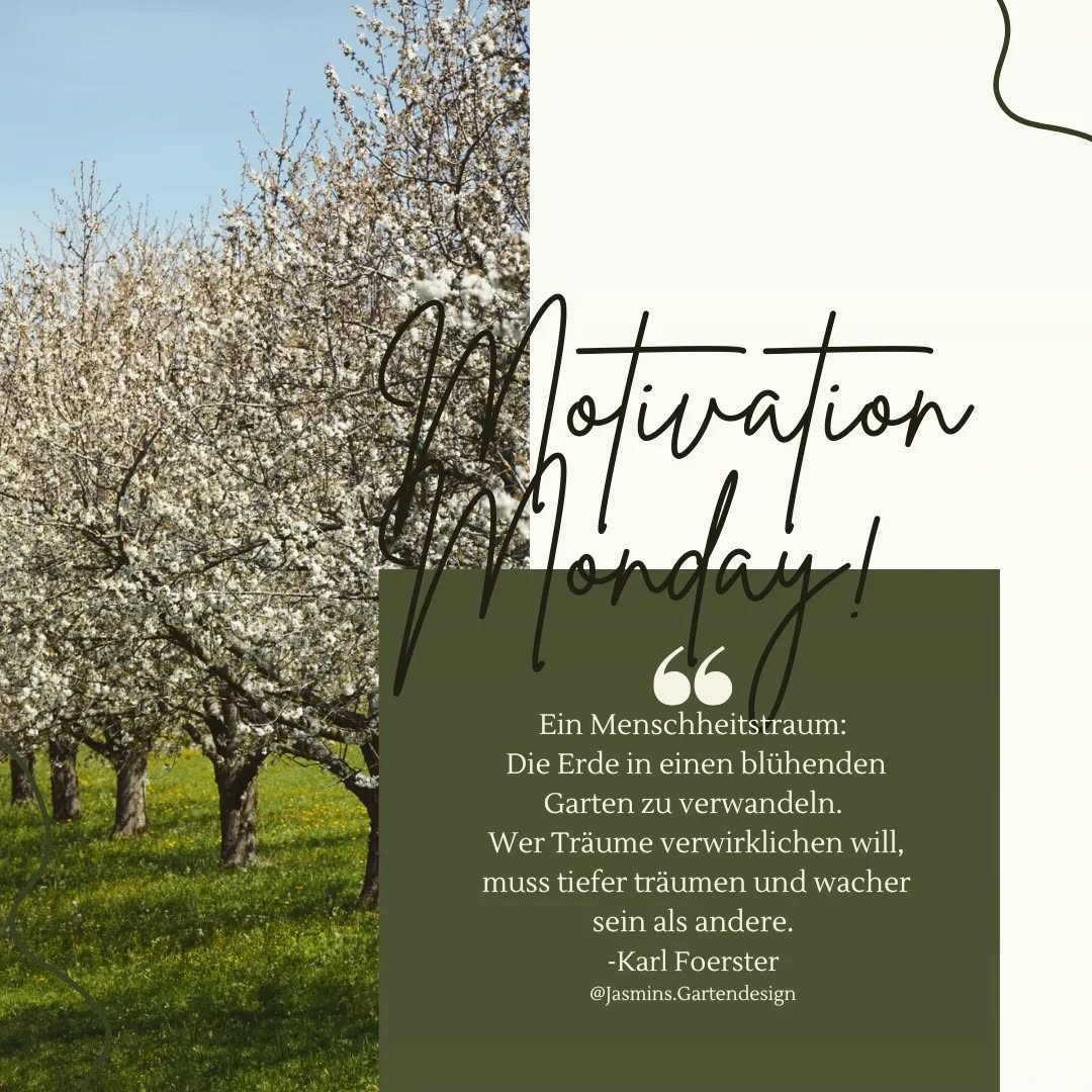 Schönen Wochenstart!
.
.
.
.
.
.
.
.
.
.
.
.
.
.
.
.
.
.
.
.
#gartentipps #gartendesign #gartenkonzepte #gartenwissen #gartenblog #gartenjournal #gartenfotografie #pflanzentipps #pflanzenverwendung #pflanzkonzepte #pflanzencommunity #staudenkombinationen #blütenzauber #blütengehölze #Apfelblüte #bloomandgrow #flowerphotography #flowerseason #Landschaftsarchitektur #landschaftsfotografie #pflanzenfotografie #naturephotography #natureshots #makrofotografie #bokehphotography #zitateundsprüche #zitatdestages #quoteoftheday