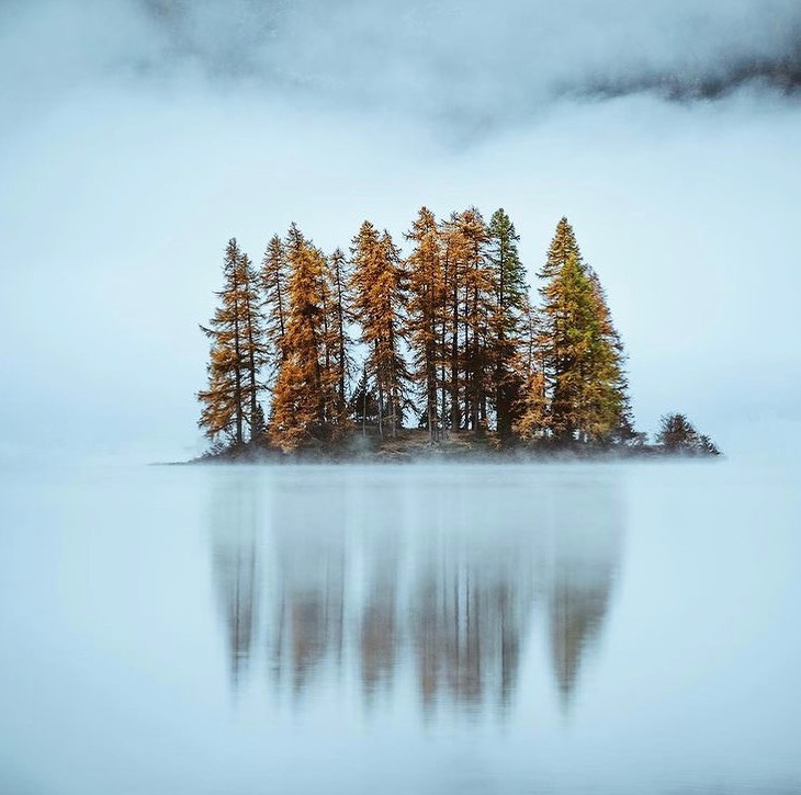 Imagine this design assignment:
Design something that makes oxygen, sequesters carbon, fixes nitrogen, distills water, makes complex sugars and foods, changes colors with the seasons, and self-replicates. and then why don't we knock that down and write on it?
William McDonough
📷 @jannisrichli
☽
∆...
.
.
.
#supportpurposefulbrands #purposeledfuture #regenerativesystems #circulareconomy #oceanplastic #microplastics #nanoplastics #maketakedispose #biomaterials #circulareconomy #williammcdonough