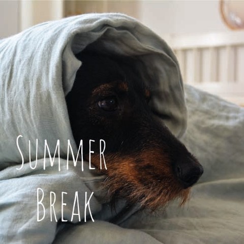 Wir machen eine kleine Sommerpause bis zum 23. Juli. Eure Pakete werden danach direkt verschickt.
Als Belohnung für die längere Wartezeit gibt es 20% Rabatt mit dem Code SUMMER23.
Schaut gerne auf unsere Homepage: www.nanoa.de
#nanoabettwäsche #mynanoahome #sommerpause#hemphome #hanfbettwäsche #rabatt #hempbedding #livewithnature #hometextiles #heimtextilien #nachhaltig #summerbreak #sustainability #nachhaltigleben #natürlichwohnen #organic #zerowaste #plastikfrei #schlafen #sleep #gemütlich #sale #thermoregulierend #stilvoll #ökologisch #ecological #staytuned