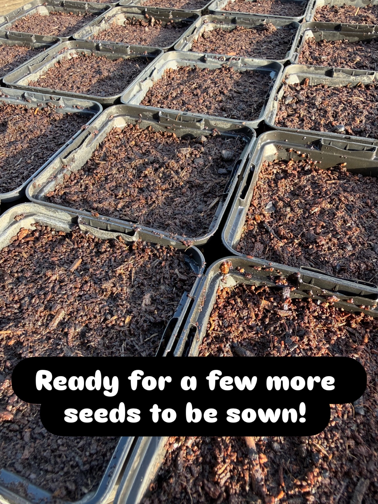 Another 70 odd packets of seed sown of bits and bobs collected through last year, these won’t mind the cold. Still a few to do when spring comes back round… #seedsowing #peatfree #horticultural #plantnursery #garden
