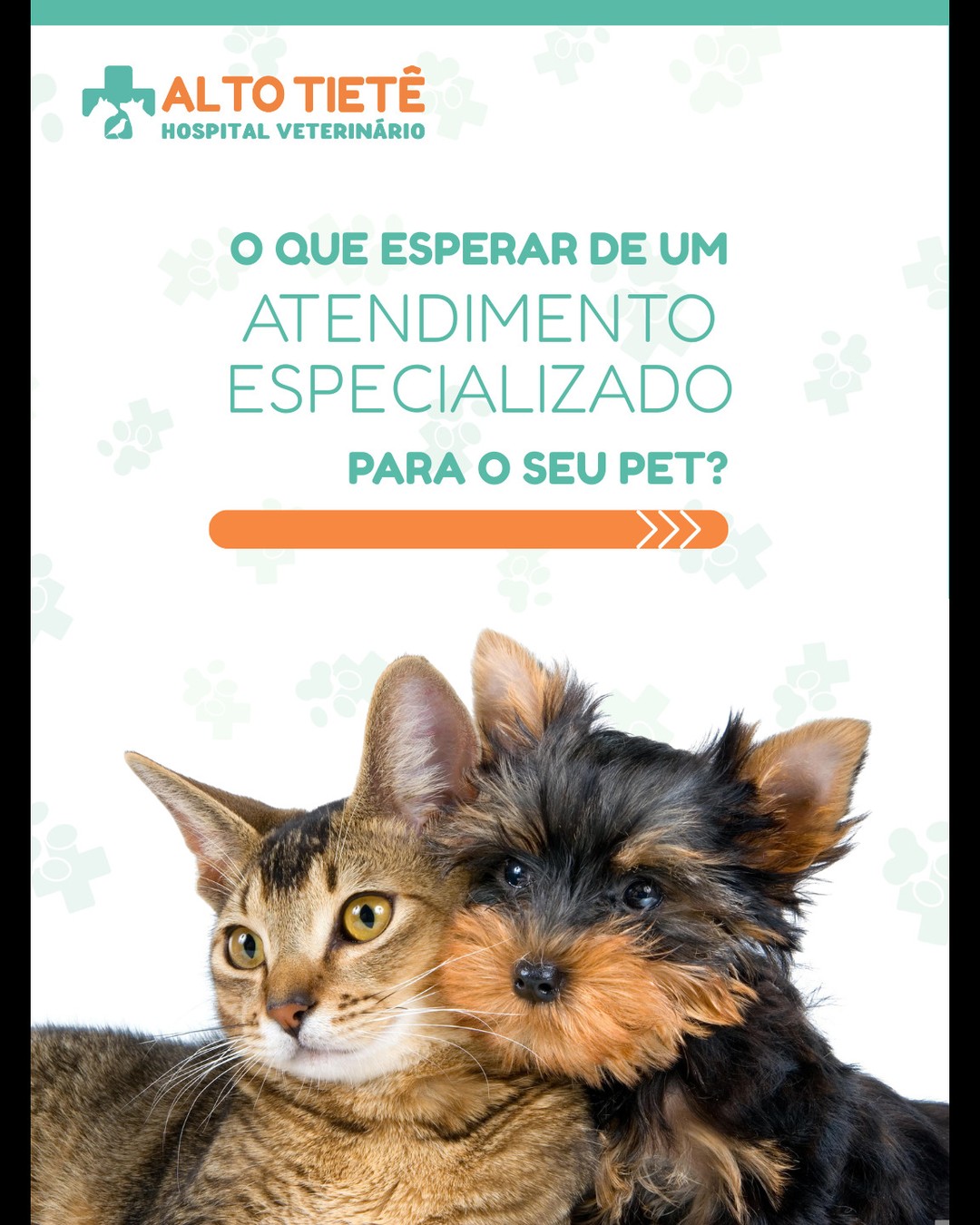 Seu pet merece mais que um atendimento básico. 🐾
No Hospital Veterinário Alto Tietê, oferecemos atendimento especializado, com uma equipe multidisciplinar, estrutura completa e exames avançados para cuidar da saúde do seu melhor amigo com excelência.
💙 Aqui, cada caso é avaliado com atenção, precisão e carinho.
Quer saber o que torna esse tipo de atendimento tão importante? Deslize o carrossel!
📍 Estamos em Arujá, com atendimento clínico e cirúrgico 24h.
📞 Agende sua consulta!
#HospitalVeterinário #AtendimentoEspecializado #VeterináriaComExcelência #EspecialistasVeterinários #SaúdeAnimal #VetLife #CuidadoComAmor #Arujá