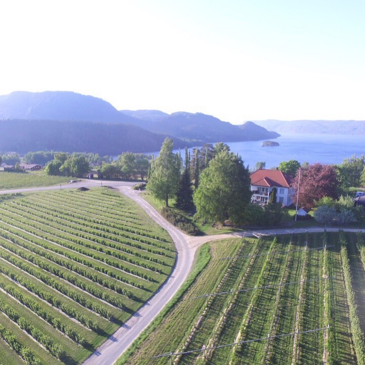 Bærgården ligger i Sylling i Lier, og produserer bær og saft av høyeste kvalitet! Ta kontakt hvis du lurer på noe ✨