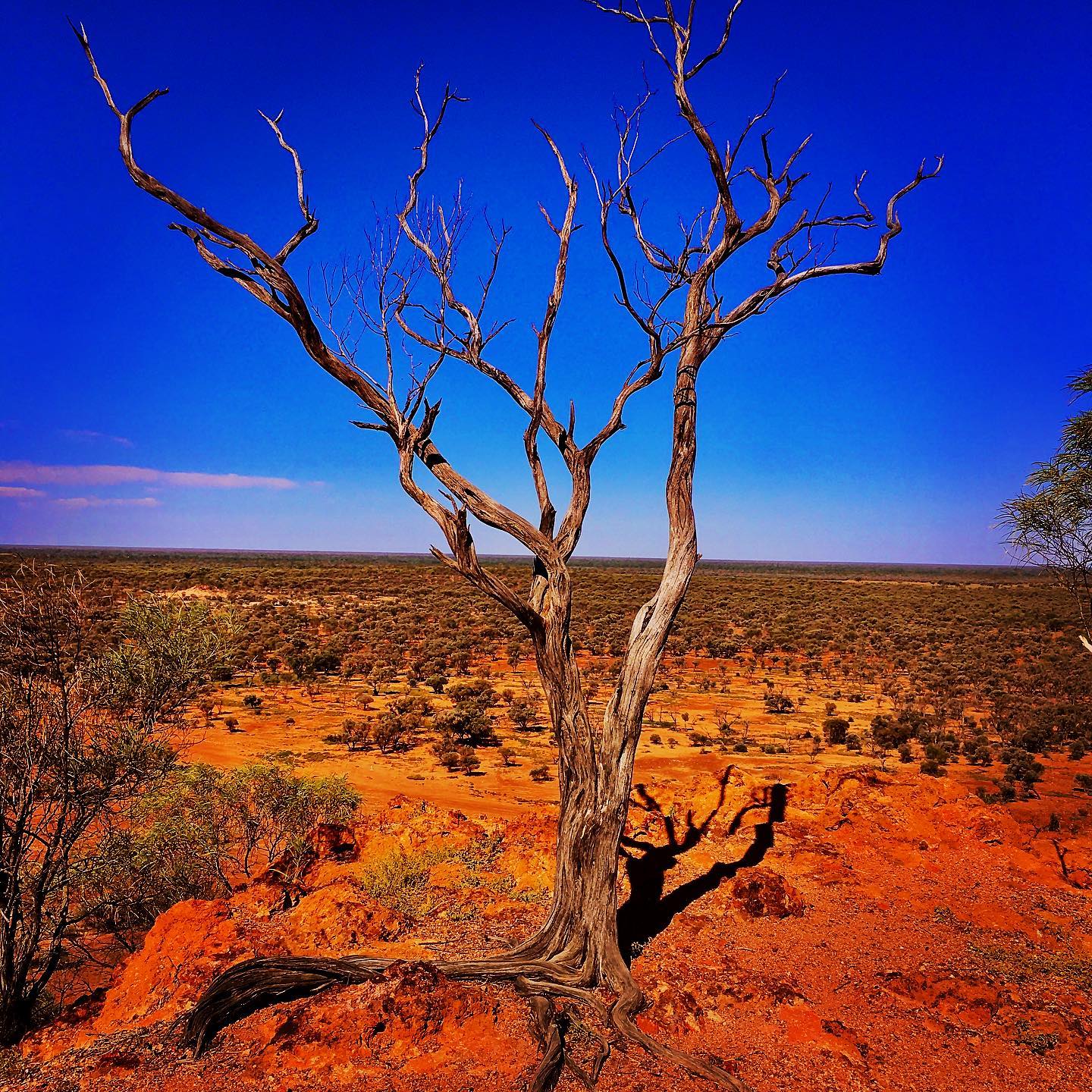 Endless horizon’s and big skies.... I’m back , so get ready for the latest most desirable handbag from CFFT . A little late ... worth the wait.... #cristinaforfairtrade #CFFT #SayItFair #ethicalbrand #visitquilpieshire #outbackqld #australia #australianfashionlabels