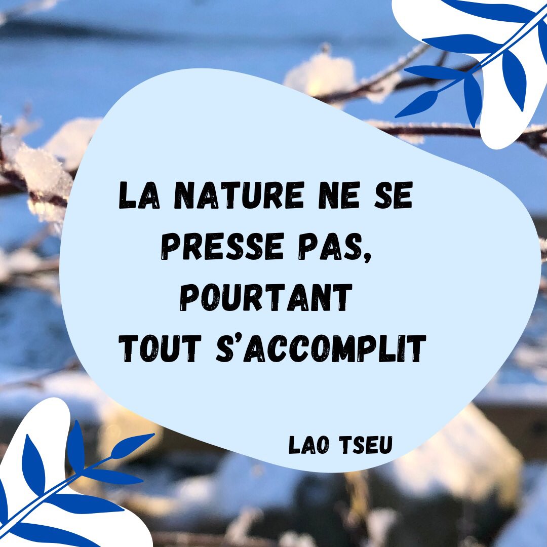 🌿 La nature, source de bien-être 🌿
Prendre le temps de se reconnecter à la nature, c’est offrir à son corps et à son esprit un véritable espace de respiration.
Elle apaise le mental, réduit le stress, améliore la vitalité et aide à retrouver un équilibre intérieur durable.
Marcher en pleine nature, respirer profondément, observer le vivant…
Des gestes simples, mais essentiels, pour se recentrer et nourrir le bien-être au quotidien.
🌱 La nature nous ressource
🌱 La nature nous équilibre
🌱 La nature nous relie à l’essentiel
#BienÊtre #Nature #PlénitudeDeLaNature #ConnexionAuVivant #Équilibre #Ressourcement