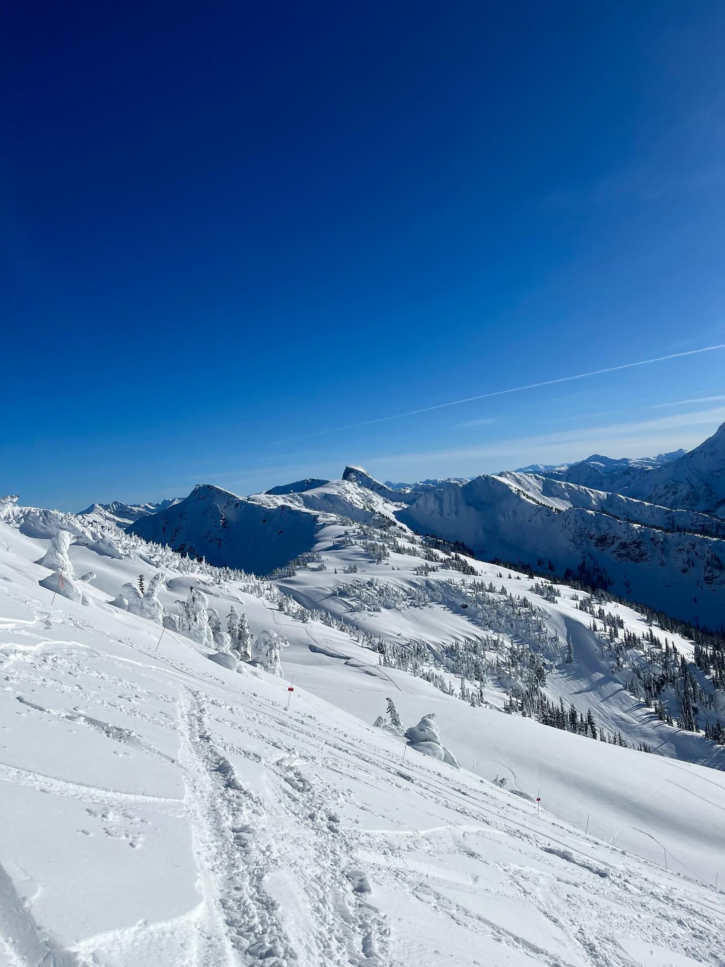 A heavenly weekend above the clouds 🌞☁️✨
Some dreamy moments included:
✨ Feeling the sun on my skin after what feels like yonks
✨ Views, views & more views !!
✨ Tacos & margs with these lovely ladies
✨ Slow Sunday solo coffee shop date
✨ A good old stomp by the river
✨ Banana bread baked for the week ahead
Feeling so incredibly grateful to be here with such gorgeous humans 🫶🏼
The quality of our relationships is such a huge contributor to our overall wellbeing, those we have with others & the one we have with ourselves, so use this as a gentle reminder to make plans with your pals this week, or call a family member, or carve out some time for a solo date - these moments matter ♥️