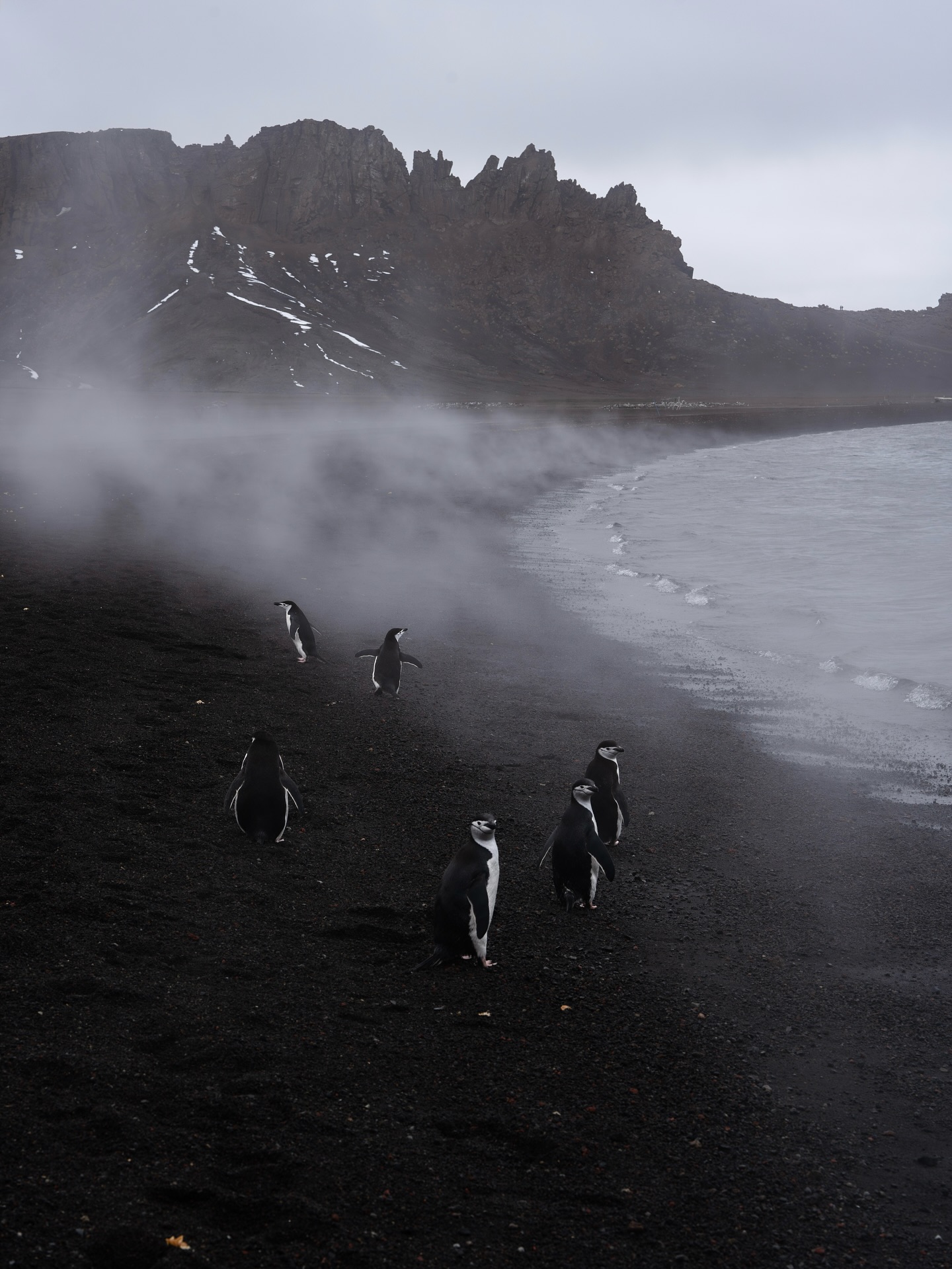 Deception Island in the sub-Antarctic was once home to a Norwegian whaling station, where many species of whales were processed for their blubber and turned into oil.
Today, this remote island is mostly home to the wildlife that surrounds it. These chinstrap penguins were enjoying the warm steam and hot sand, the result of the island’s active volcano.
#antarctica #volcano #penguins #chinstraps #natgeoyourshot