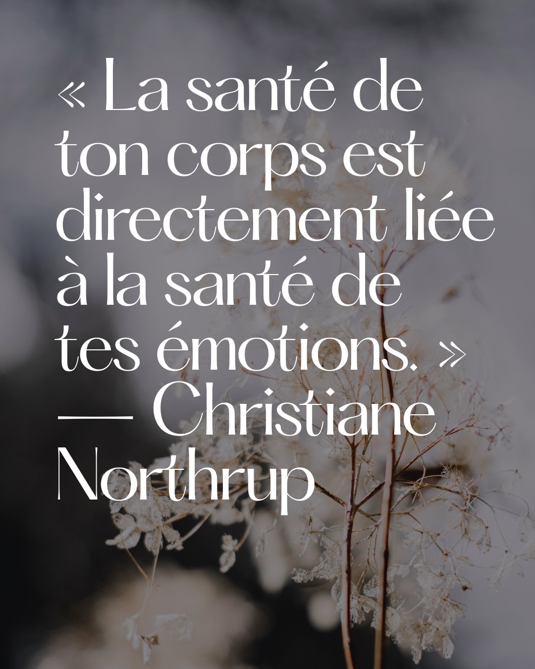 Prendre un moment pour vraiment écouter ce que le corps envoie est déjà un geste de soin et de présence.
//
Taking a moment to truly hear what the body is saying is already an act of care and presence.
#bienetre #mindfulness #selfcare #holistichealth #santementale #montrealwellness #slowwellness #innerpeace
