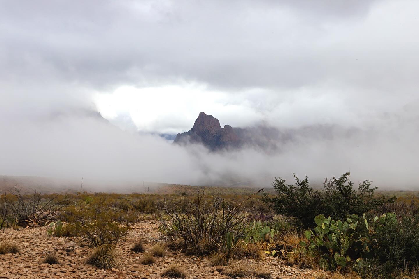 Big Bend National Park, you really blew me away. Thanks for the adventure. Much needed. Much appreciated.