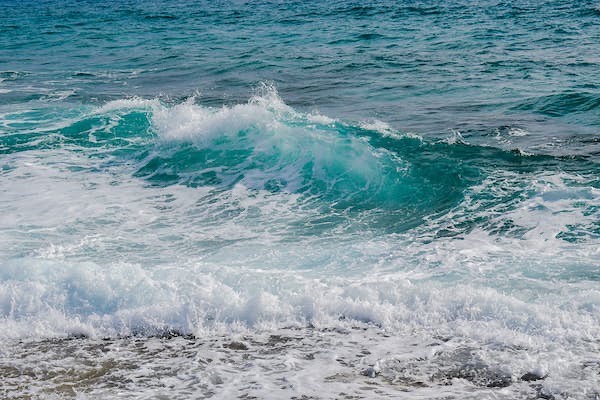 Much like waves, the body has its own healing rhythm; stress and recovery.
Some signs of stress can be:
•anxiety
•restlessness
•sleeplessness
•high blood pressure
•loss of appetite
•slower digestion
These symptoms can be tied into the sympathetic nervous system. For some, they have lived in the stress rhythm for so long they do not even recognize it as such.
Some symptoms of recovery can be:
•fatigue
•lower heart rate
•increase in appetite
•inflammation
•heat
•discomfort.
Many of these are tied to the parasympathetic nervous system.
There are three stages to recovery. Stay tuned and I will be sharing what those are! Until then, do you think you are in stress mode or recovery mode?
#wavesofhealing #healing #waves #emotions #emotion #emotionalhealth #emotionalhealing #emotionalrelease #wellness #alternativehealing #health #bodycode #emotioncode #oils #essentialoils #eft #tft #aroga #frisco #texas #drbradleynelson #recovery #stress #heal #fyp #foryoupage