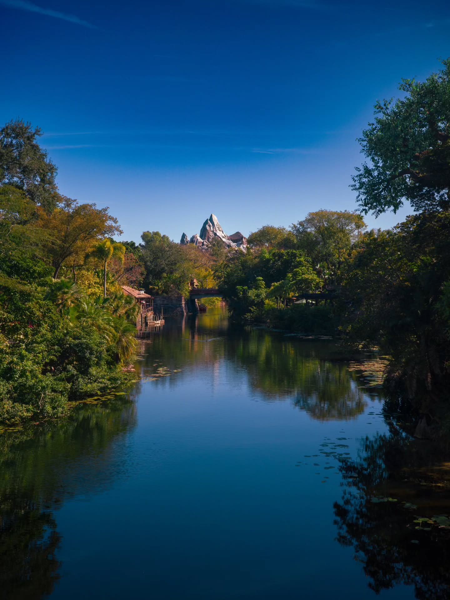 1.17.26 @ Animal Kingdom
#animalkingdom
#disneyworld