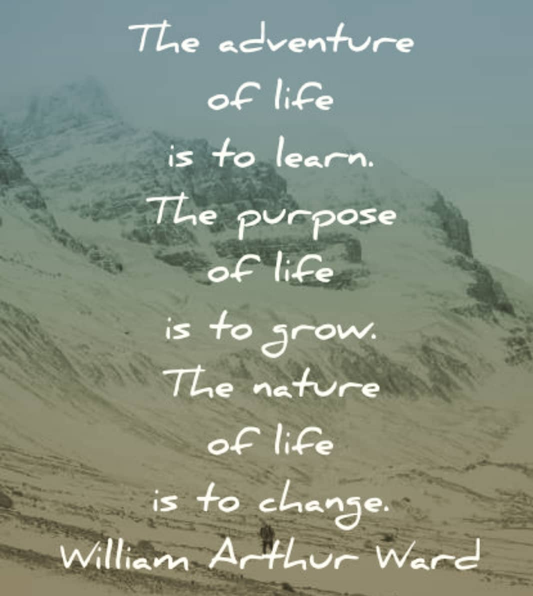 The purpose of life is to learn...