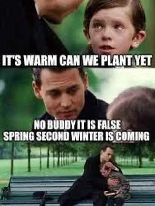 Did you cuddle with your potted plants last night?
It is perfectly natural to feel a bit discouraged about gardening in San Antonio right now. As of today, January 18, 2026, San Antonio is experiencing its first hard freeze of the season, with temperatures dropping into the mid-to-upper 20s.
Quick Recovery Tips for Today:
• Water them: If the soil is dry, give your plants a drink. Moist soil stays warmer than dry soil and helps the roots recover.
• Be Patient: Some plants won’t show signs of life again until March or April. Don’t dig them up yet!
Bring them inside: You can (and should) bring your potted plants inside if you’re worried about them.
Don’t put them right next to a heater: Moving a plant from 25°F outside to a 72°F living room right next to a vent is a massive shock.
• If you can, put them in a garage, laundry room, or enclosed porch first. This lets them adjust.
• Try to place them near a window so they still get some natural light, especially if they are going to be inside for more than a day or two.
Since we just had a hard freeze, the soil outside is currently very cold, which will prevent many seeds from germinating.
However…
This is the absolute best time to start your “Summer” garden indoors. You want these plants to be strong transplants by the time the last frost hits (usually early March).
What to plant now: Tomatoes, Peppers, and Eggplants.
Why: These need 6–8 weeks of warmth to grow before they are ready for the Texas sun. By starting them inside today, they’ll be ready for the ground in March.
Best of luck!
#SanAntonioGardening #SATXWeather
#TexasGardening #210Gardening #FreezeWatch2026 #PlantParentProblems#ShowUsYourUgly #GardenFreeze
