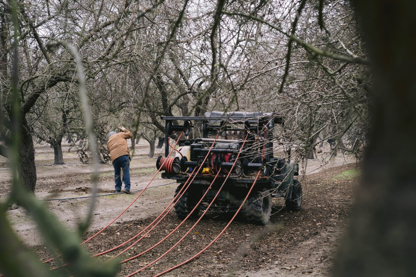 Dormant season doesnโt mean rodent pressure stops.
Weโre in orchards year-round to stay ahead before spring growth begins.
Give us a call to get ahead of rodent pressure.
๐ North & Central Valley - Brian: (209) 564-8207
๐ South Valley - Gilbert: (559) 395-2537
#RodentControl #PestControl #AgServices #rodentsofinstagram