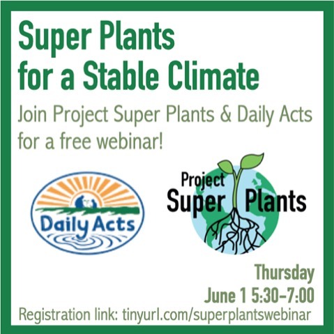 Join Project Super Plants and Daily Acts for a youth-led webinar this Thursday, June 1 at 5:30 pm PST! We will discuss the science behind native Super Plants with increased carbon sequestration, provide tips for carbon gardening in your own backyard, and share how teachers can bring our project into their classrooms. Visit tinyurl.com/superplantswebinar to register!
Project Super Plants is a youth-led organization that aims to educate other students about the threats of CO2 emissions, activate them to grow Super Plants, and mobilize them to take action in Northern CA schools and communities.
