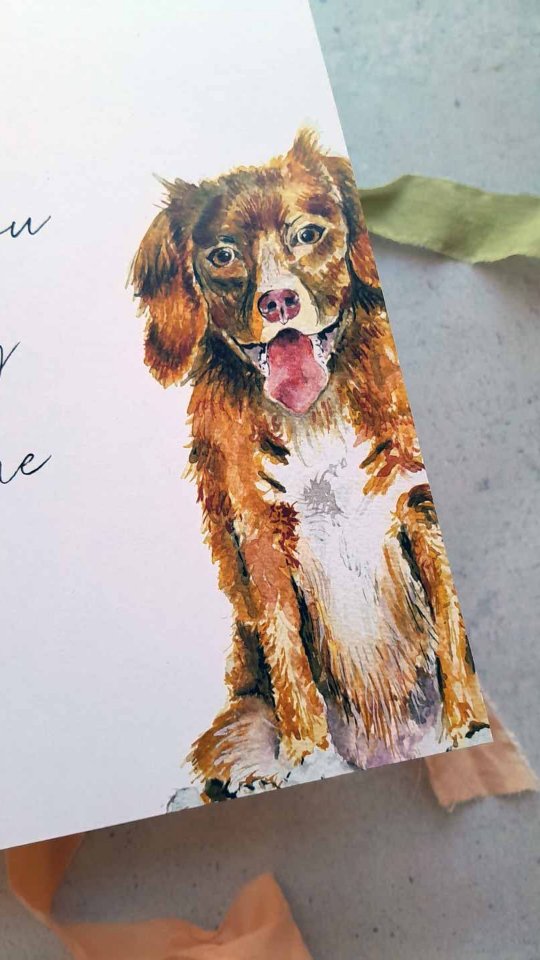 5 things I love about being a Stationery Designer:
1. Working with you! I'm a people person so being able to work directly with customers is a massive plus for me.
2. I love making unique designs that are treasured by my customers.
3. I like that my job isn't just one thing - I might be designing one minute, painting or illustrating another. Then I'm planning, adding content to socials, website designing, e-shots or writing blogs - and there's also organising meetings and planning your stationery schedules and liaising with others involved in the design - printers, planners, etc. It certainly keeps me on my toes!
4. I love the flexibility of being about to look after my children and do my job. There aren't many jobs where you do that.
5. I can direct my little business wherever I like - like when I decided I wanted to paint. I taught myself how and just did it 😂😍
This cute dog is called Blue, and I painted him for Laura and Mark's wedding stationery Tunnels Beaches 🐾. If you would like me to paint your pet for your stationery, or in fact even as a commission, give me a call, or book a stationery meeting on my website. 😃
#fromsallywithlove #stationerydesigner #lovemyjob #dog #dogsat weddings