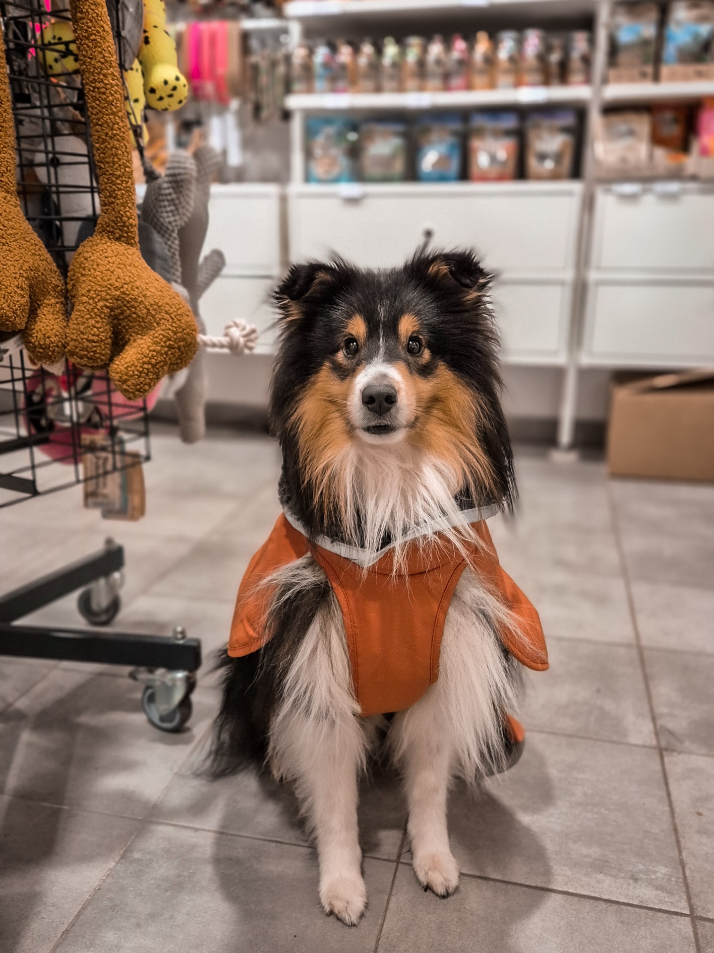 Neuer Mantel für Fynn 🥹❤️ ich liebe die neue Pomppa Farbe ja ganz besonders ❤️