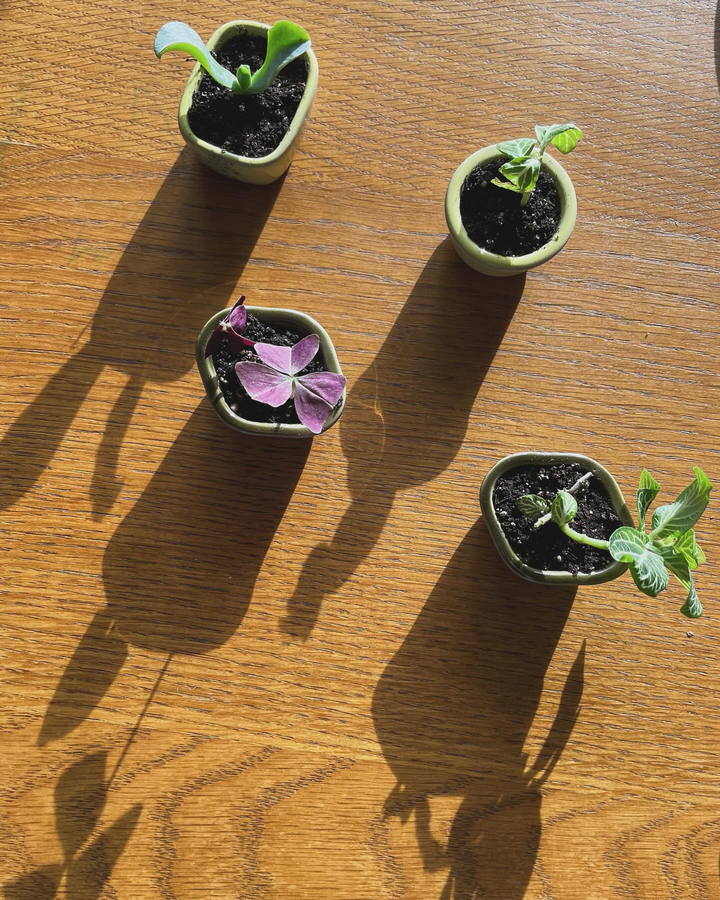 À l’image du moment 〰️
des idées qui naissent 〰️
du temps pour les voir grandir.
Signature, manifeste, campagne, … en cours d’écriture et de réalisation 🔜