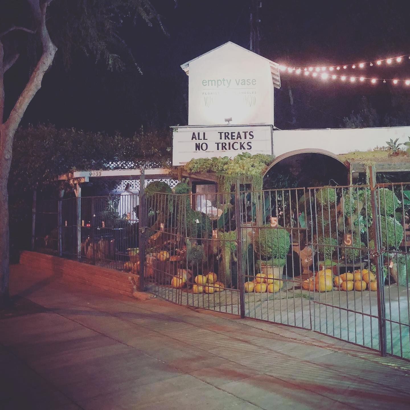 Legit how @missproffitt does business: #alltreats - #notricks. 🎃 Happy Halloween!! #makeartnotwar