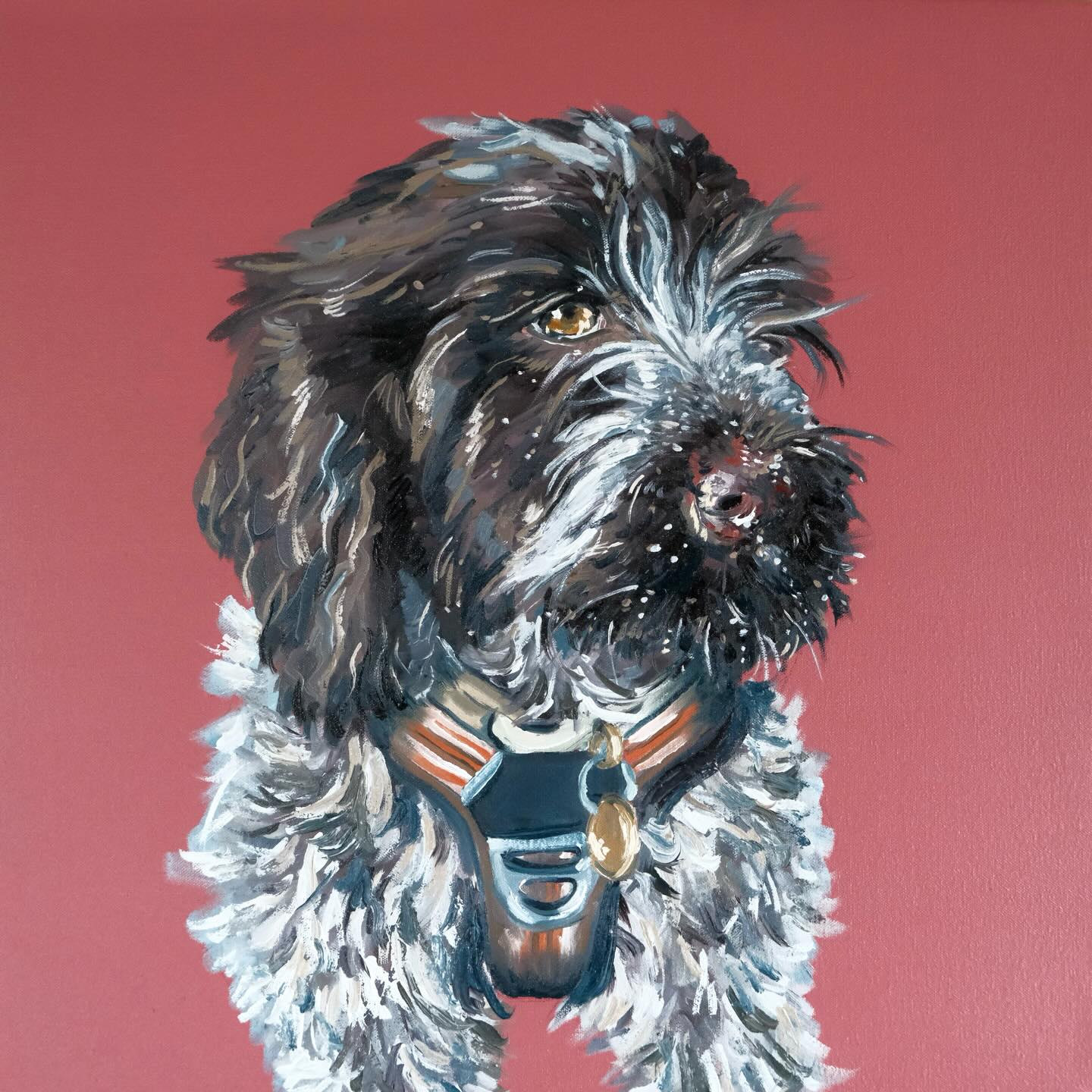 Bramble - 15 Weeks Old (2026) oil on canvas, 40x40cm
#artist #oilpainting #dogpainting #painter #fyp