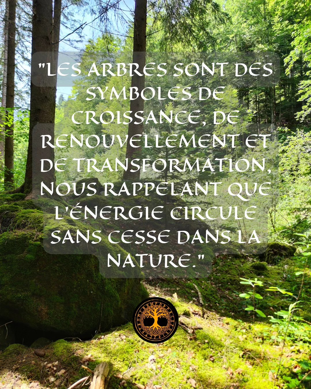 Heill cher Vitki !
Qui n’a pas un souvenir d’enfance ou plus tard, au cours de notre vie, d’un arbre en particulier qui nous a marqué ?
Que ce soit dans la cour d’école, sur un terrain de jeu ou peut-être un jardin, il y a forcément un arbre en particulier qui reste dans notre cœur.
Pourquoi ? Grâce à l’énergie qu’il dégage.
Qui ne se sent pas confortable au pied d’un arbre ou adossé à lui?
L’arbre attire également par sa beauté et sa grandeur.
Dans les croyances nordiques, il n’y a pas de temple particulier pour se recueillir et rendre hommage aux Dieux.
Il suffit simplement de se rendre dans la nature et de se connecter à l’énergie de celle-ci, c’est là que se trouve les vrais esprits de la nature.
C’est près des arbres également que les chamans pratiquent leurs voyages.
Et toi? Te souviens-tu d’un arbre en particulier ?
N’hésite pas à partager ton souvenir en commentaire !
#alignementénergétique #connexionnature #energienaturelle #pouvoirdelanature #spiritualitédécomplexée #therapeuteenergetique #energievitale #guidespirituel #mieuxvivre #norsegod #dieuxnordiques #yggdrasil #energie #developpementspirituel #énergie #energiepositive #naturegood #norsegods #vikinglife #suisse #gruyere #bulle #chaman #chamanisme
