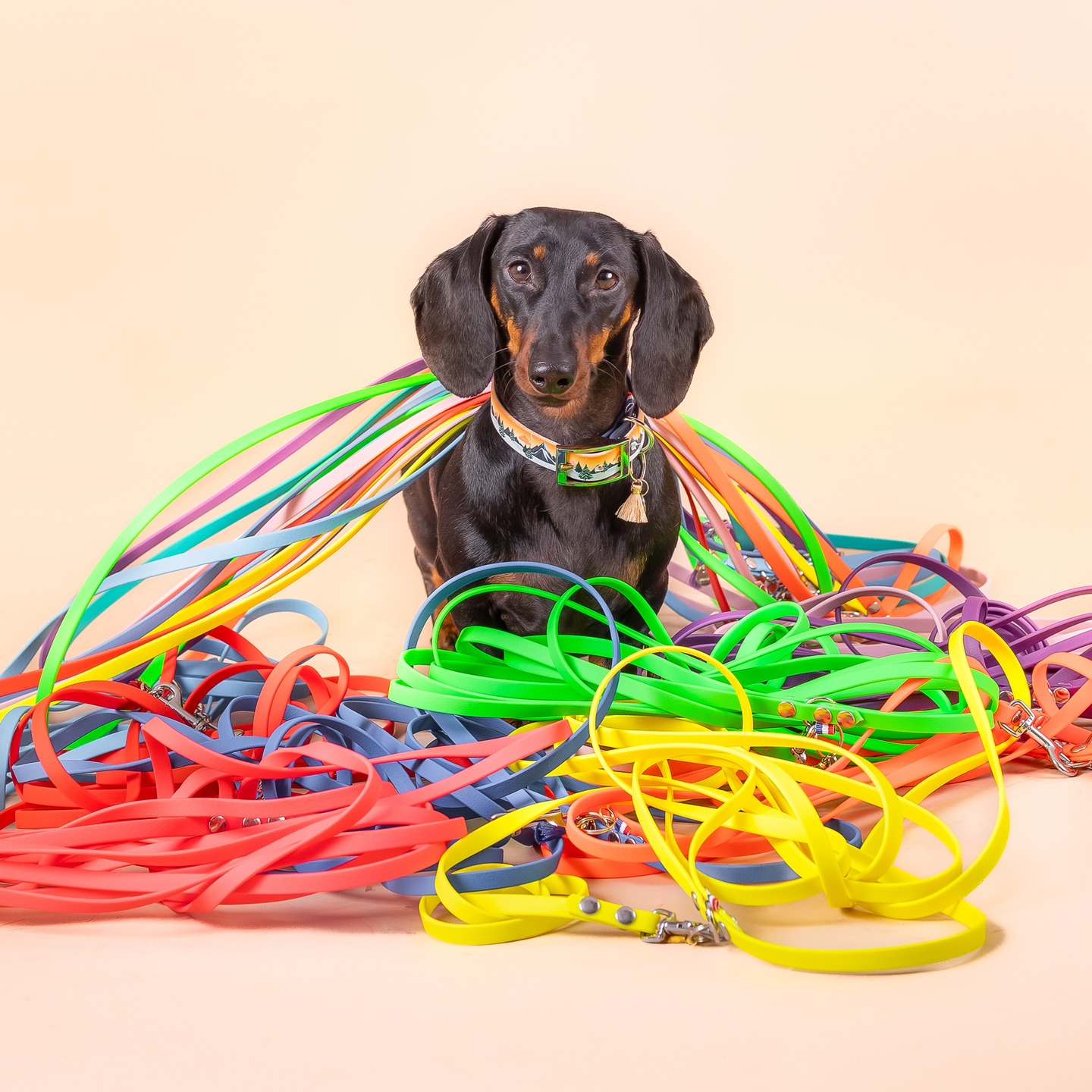 La longe, ce n’est pas “juste une laisse plus longue” 🐾
C’est un outil indispensable pour offrir à ton chien :
✨ plus de liberté
✨ plus de sécurité
✨ plus de confiance
Que ce soit pour le rappel, l’éducation ou simplement pour le laisser explorer le monde à son rythme, la longe change tout 💛
Chez L’atelier Ek.o, on propose des longes adaptées à tous les chiens, même les plus petits 🐶
👉 Découvre la collection sur www.lateliereko.fr
#teckel #sausagedogcentral #teckellove #longe #lateliereko #artisanat