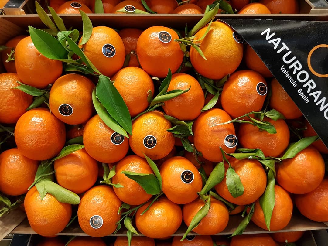 #nofilter #clementine #clementino #citrus #zitrus #sweet #sour #wholesale #hamburg #spain #españa #spanien #fruit #fruitwholesale #fruitarian #fruits #freshness #healthy #healthyfood #foodie #foodblogger #foodporn #germany #orange
