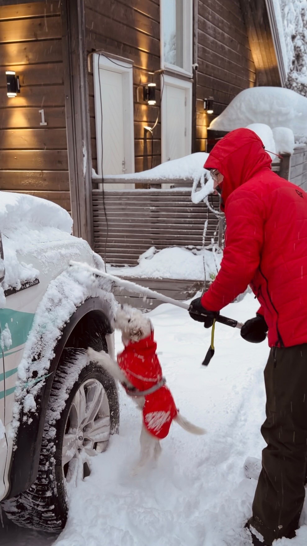 Last two weeks it was -35°C on avarage, yesterday -6°C and today -1°C
it was snowing all day so according to our Gooseberry snow indicator, it’s now “half a Gooseberry deep”😂
#visitlapland #levilapland #snowytrees
