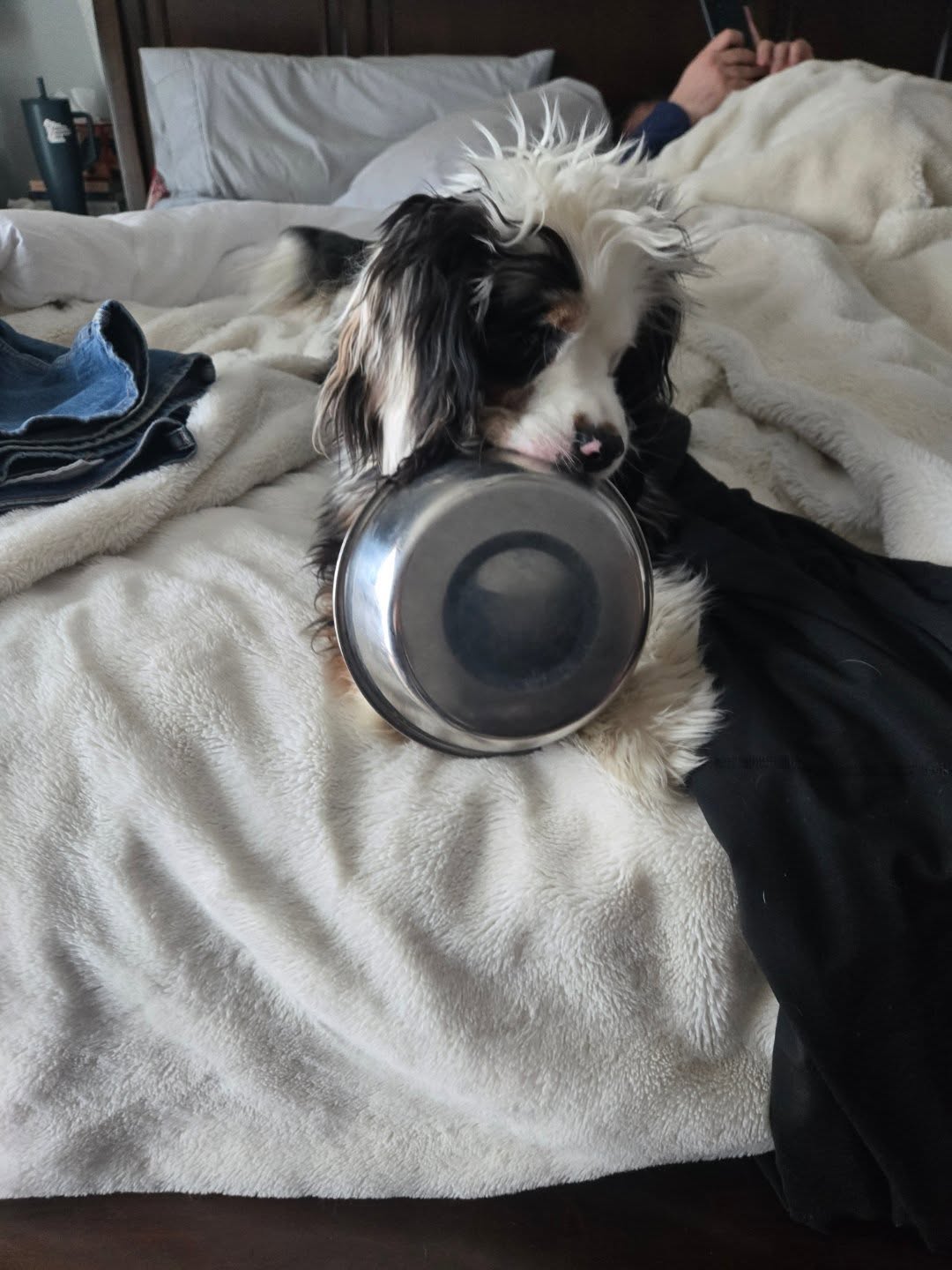 ... I think Patches is trying to tell us something... 🤣
Any guesses as to what?!
#simplegroundedlife
#dogsofinstagram
#dogs