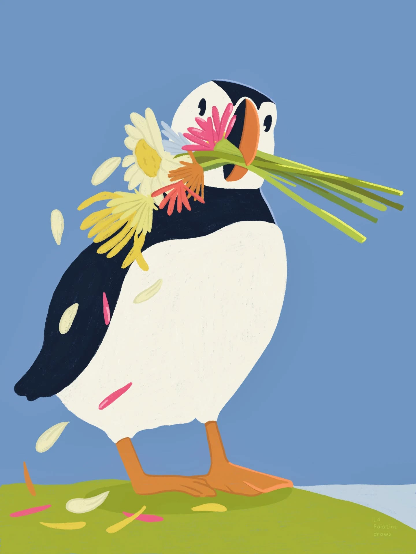 Très envie de retourner en Écosse ou bien de découvrir l'Irlande cette année ✨🌍 #lapalatineboutique #lapalatinedraws #lapalatine #macareux #seabird