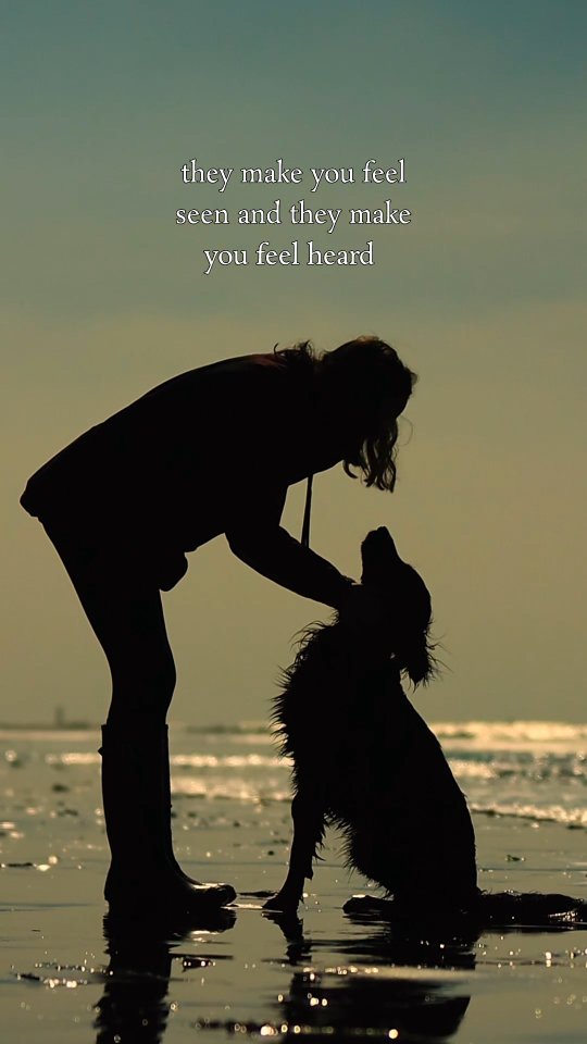 I honestly could not imagine doing any other job!
Dogs really are the best!
#dogwalkingservices #dogtraining #structuredwalk #mansbestfriend🐶 #girlsbestfriend🐶