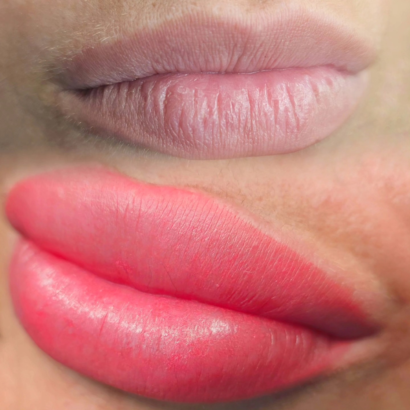 A little symmetry adjusting, a little neutralizing, and add a little pop of color = lip blush dreams ✨️
*swelling will subside in 2-4 hours after procedure.
www.charlestonpermanentmakeup.com
#lipblush #watercolorlips #lipblushtattoo #lipgoals #lipblushing #browslipseyes #definedlips #lipblushtraining #charlestonlips #microbladingcharleston #cosmetictattoo #permanentmakeup #permanentmakeupspecialist #southcarolina #Charleston #mtpleasant #summervillesc #ladson #jamesisland #johnsisland #Kiawah