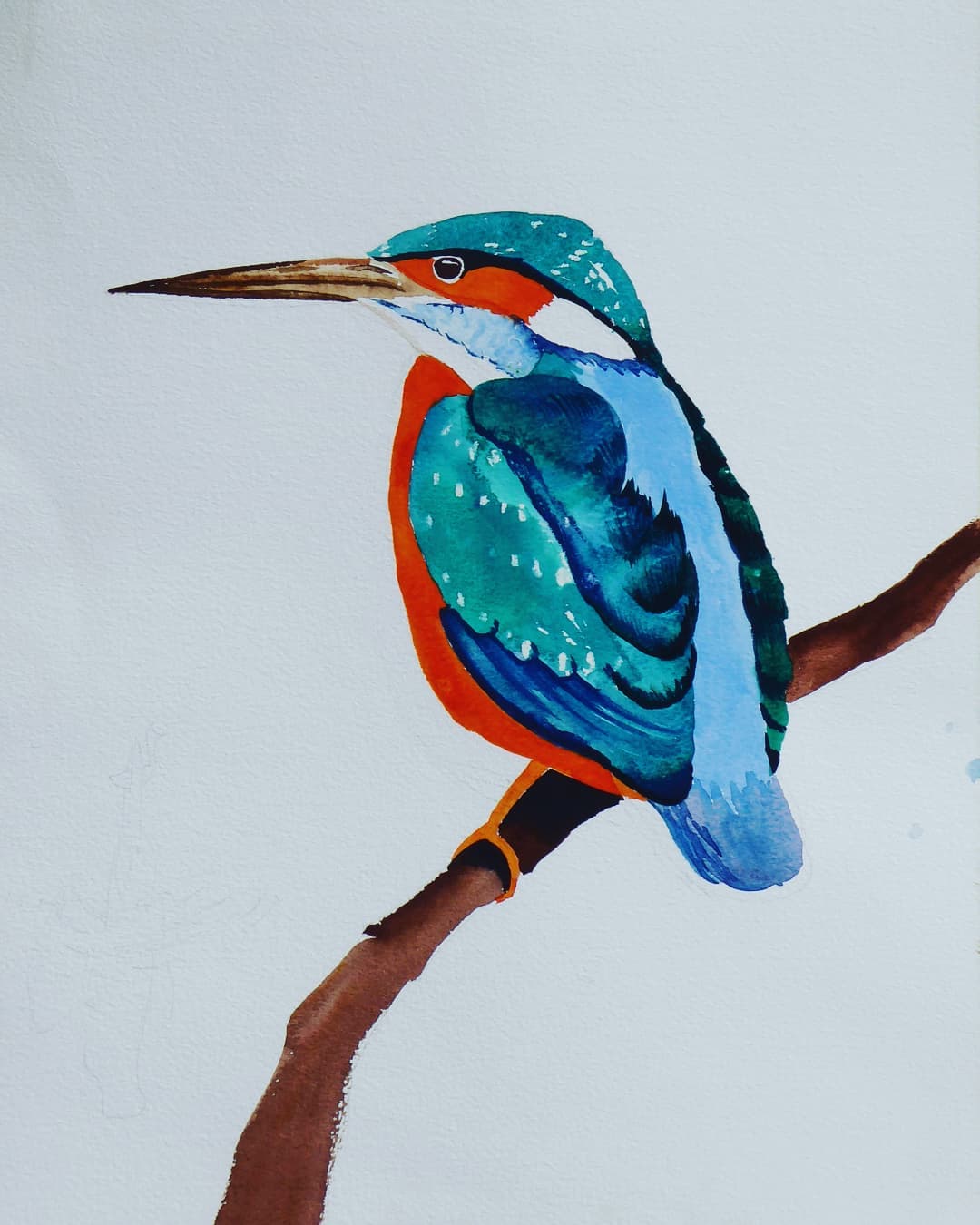 Kingfisher
Watercolour
This is for sale @galleryno30 . Fifi the owner has done an incredible job hosting, displaying different artwork. Such a joy to go there and enjoy what other creative artists have made.
This is one of my favourite British birds. It electric blue back, gives it away when it decides to swoop along riverbanks to fish.
As artists there is an exciting new medium being researched called structural colour. Structural colour is the nearest we can get to mimicking iridescent effects on bird feathers like Kingfishers. The research relies on nanotechnology to produce 3D microscopic prisms, that can manipulate light rays, causing them to omit specific colours, similar to what is seen on hummingbird feathers, tropical butterfly wings.
Why not visit Kew Gardens to discover more about this fascinating exhibition on structural colour and work done by Coral G. Guest done on the pollia berries. Enjoy!
#kewgardens #watercolourpainting #watercolourillustration #watercolourart #structuralcolour #kingfishersofinstagram #iridescent #feathers #fishing #artist #womanartist #britishartists #colour #