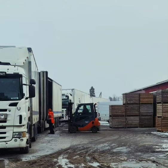 Nyt painetaan pitkää päivää jotta toimitukset saadaan kotiutettua! Rekat jonossa Tyrnävällä. Se on taas se aika vuodesta kun toimituskausi on kuumimmillaan! #siemenperuna #suomalainen #kotimainen #laatusiementä #kantaperuna #workworkwork