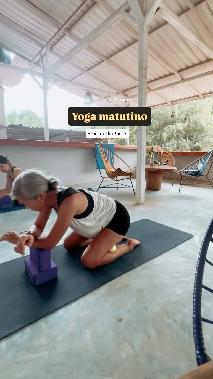 🧘🏼🧘🏽♀️🧘🏻🧘🏼♂️Yoga matutino @casa_colibri_palomino
🧘🏼🧘🏽♀️🧘🏻🧘🏼♂️Morning yoga @casa_colibri_palomino
#yogagratis #freeyoga #morningyoga #palominoguajira #cuerposano