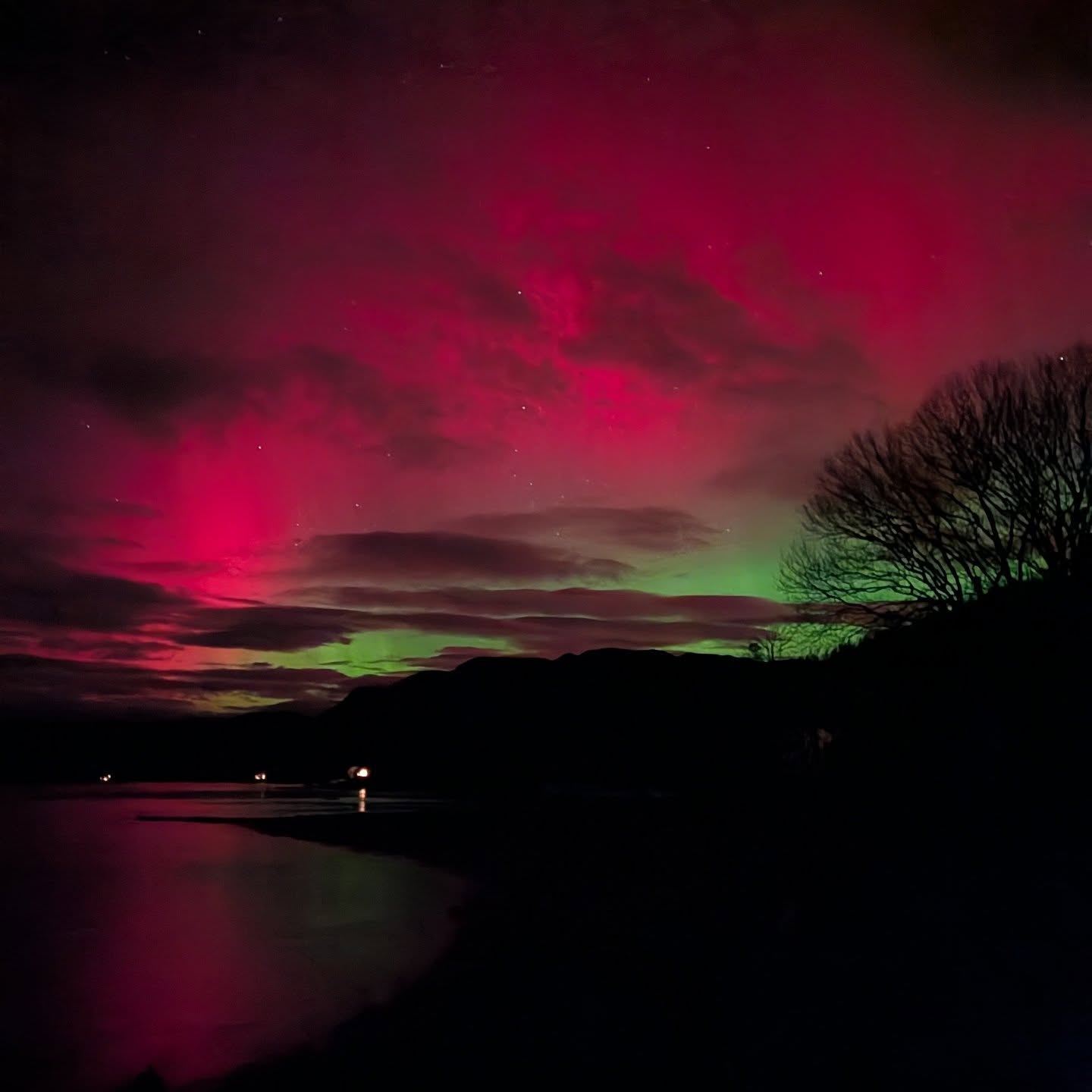 How lucky are we ♥️