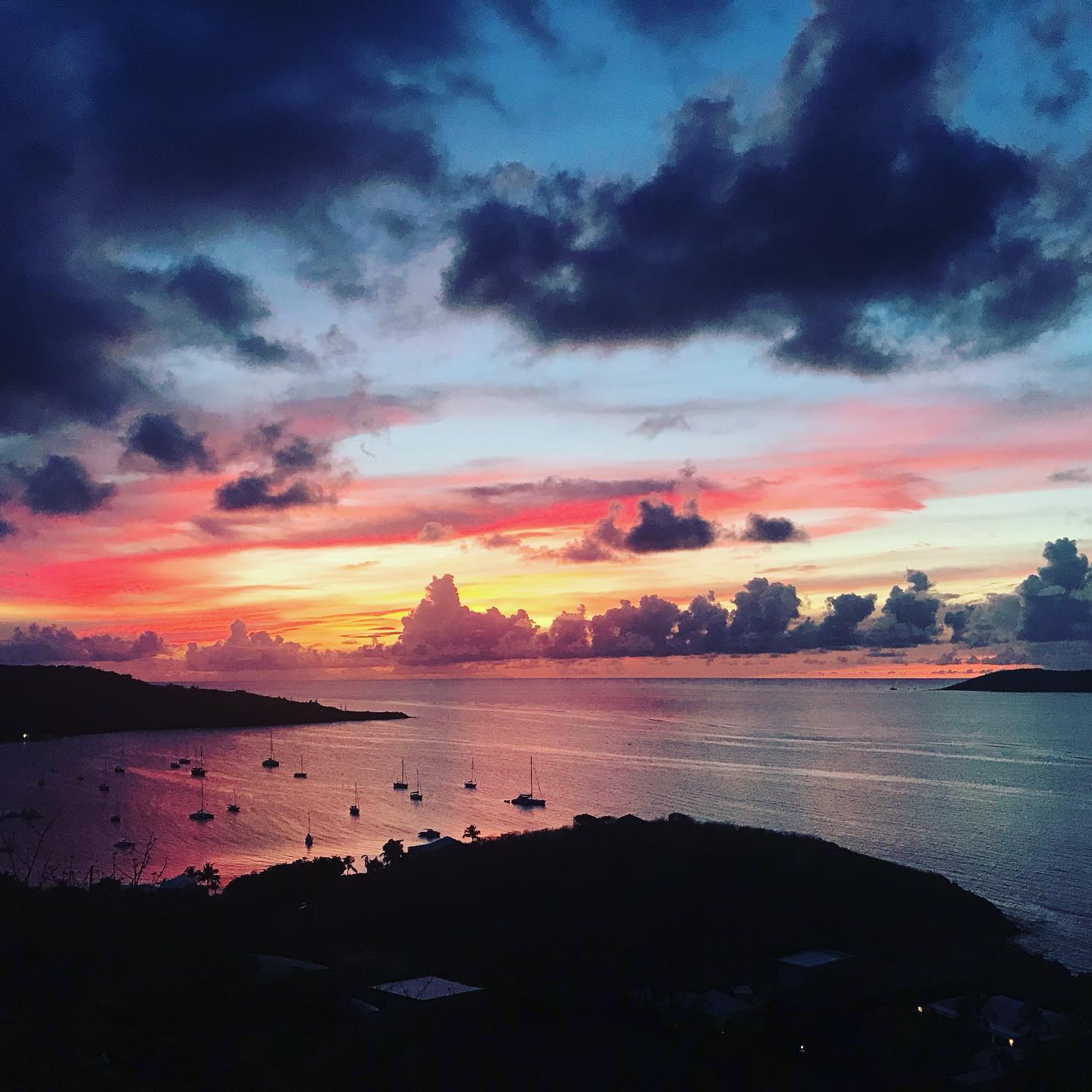 Wow, St. Croix, you really know how to show off right before we leave 🌴 😍 #pnwbound #whatagoodbyepresent