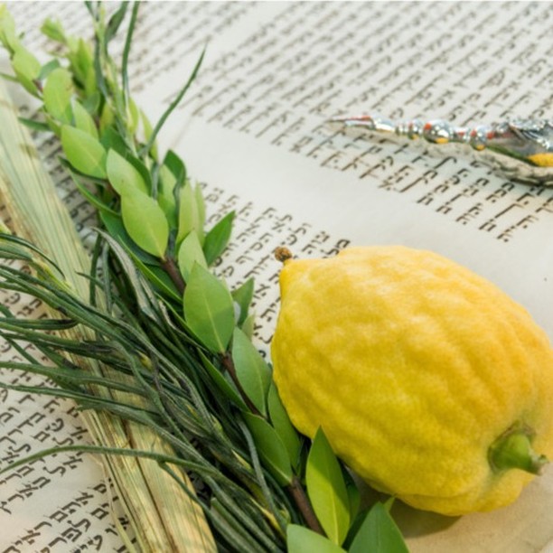 Chag Sameach as we celebrate Sukkot!