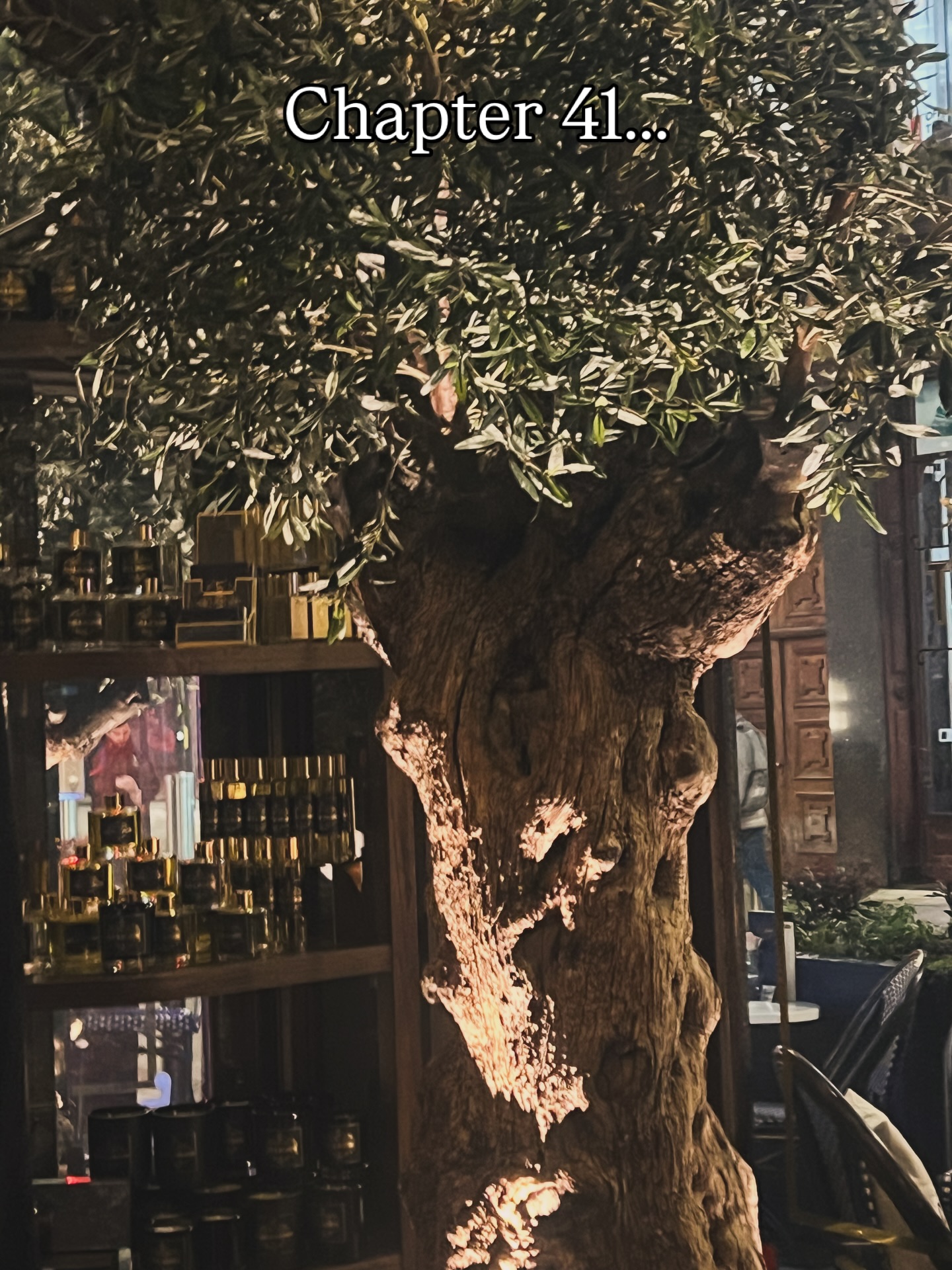 Chapter 41🧿
Life has taught me that true power is intentional….who you become, who you allow access to you, and what you choose to build next.
This chapter is about refinement, expansion, and leadership.
I move forward with clarity, discipline, and elevated standards.
There’s something powerful about a January birthday.
It sets the tone….focused, decisive, unapologetic.
This will be my strongest year yet.
Not just for my growth, but for the women in my circle.
When one rises, we all rise.
This year is different.
I’m not playing small.
I’m building legacy.
#womenwholead #ceoenergy #curatedlife #female #womeninspiringwomen