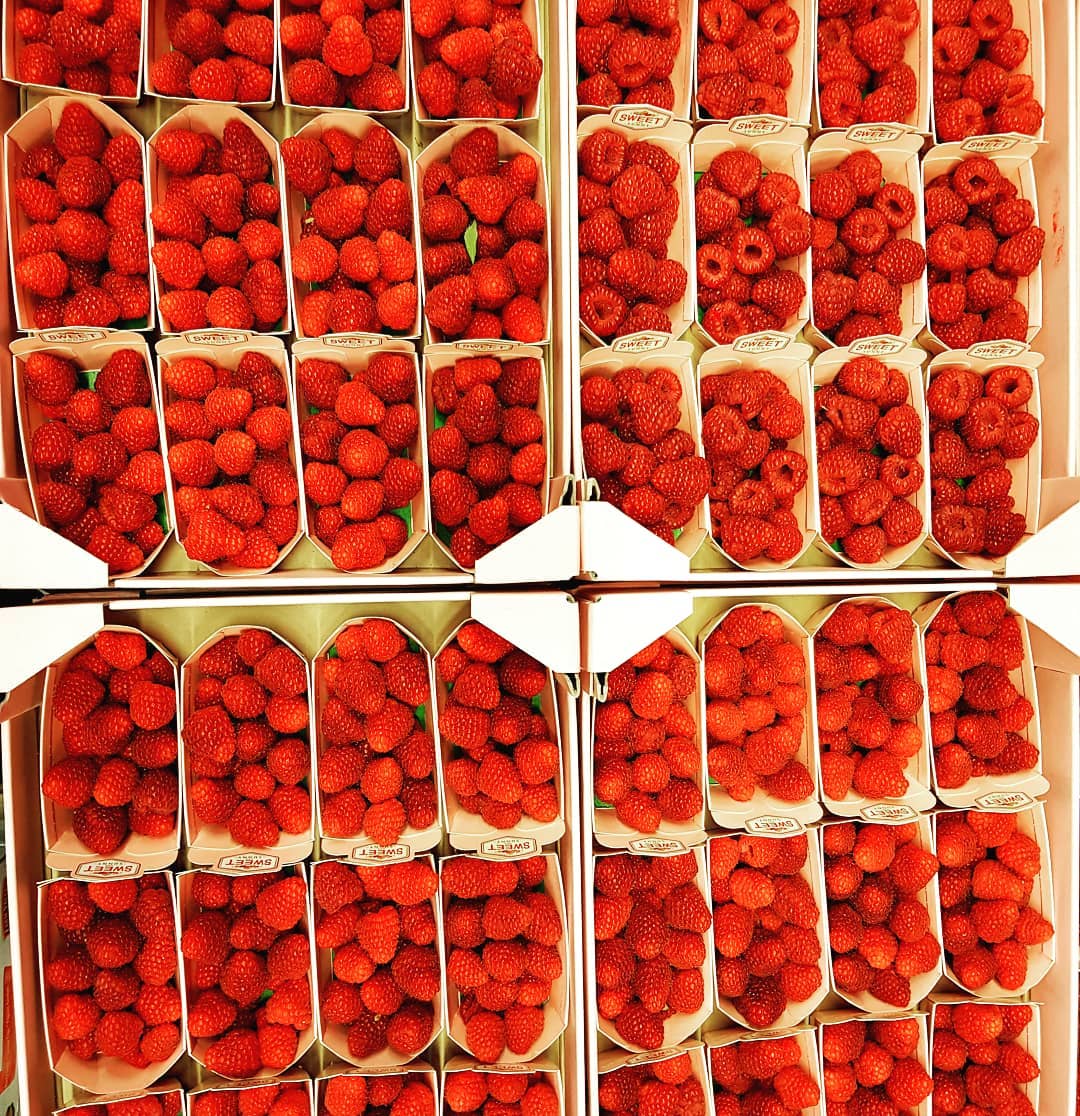 #himbeeren #raspberry #raspberries #frambuesas #framboise #lamponi #fresh #fruit #red #sweet #foodie #foodblogger #frutarian #hamburg #germany #portugal #wholesale