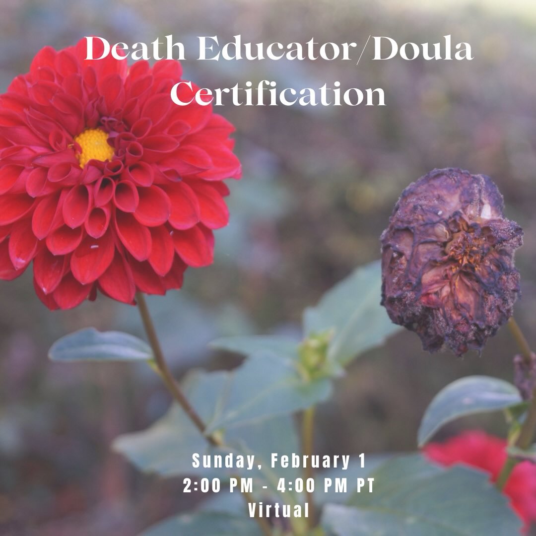 Ask yourself one simple question: If you died tomorrow, have you truly put everything in place for your loved ones to be okay?
If the answer is anything other than a confident ‘yes,’ our Death Educator & Death Doula Training can guide you. We teach you how to prepare—not just legally, but emotionally, practically, and compassionately—so you can support others and bring peace and clarity to your own life.
The 12 week virtual certification starts on Sunday, February 1st. You can read more at https://www.clius.org/group-certifications
#Deathdoula #SpiritualGrowth #HealingJourney #Medium #Psychic