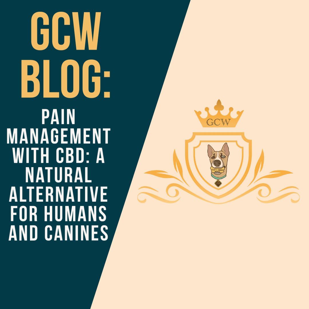 Check out our latest blog!
🌿 Find Relief Naturally: CBD for Pain Management, Ideal for You and Your Furry Friend! 🐾💚 #CBDPainRelief #HumansAndCanines
Link in Bio!