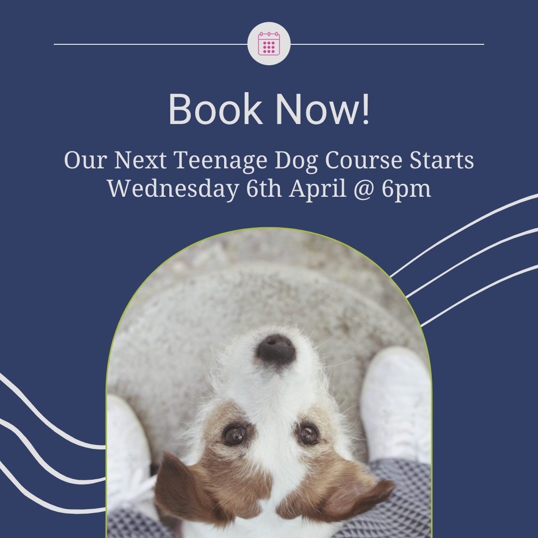 LAST CHANCE..... Our Brand NEW teenage course is starting tomorrow night at 6.30pm.
If your dog is aged between 5 months and 2 years this is the perfect course for you.... Our 6 week course only costs £70. to book on click
https://www.ladypeasdogs.co.uk/offers/HQ7ZDsTu
If your dog is aged between 5 months and 2 years this is the perfect course for you... Our 6-week course only costs £70. to book click