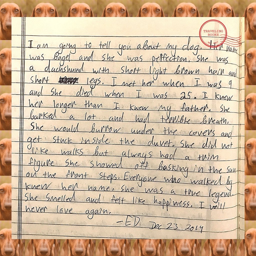 “I am going to tell you about my dog. Her name was Bagel and she was perfection. She was a dachshund with short light brown hair and short legs. I met her when I was 9 and she died when I was 25. I knew her longer than I knew my father. She barked a lot and had terrible breath. She would burrow under the covers and get stick inside the duvet. She did not like walks but always had a trim figure. She showed off basking in the sun on the front steps. Everyone who walked by knew her name. She was a true legend. She smelled and felt like happiness. I will never love again.” By ED, a traveler.
December 23, 2019
.
.
.
*Burrow: (of an animal) make a hole or tunnel, typically for use as a dwelling.
.
.
.
#love #dachshund #sausagedog #dog #canines #doglove #friends #bestfriend #lovestory #happiness #lifewithdogs #dachshundlove #mydogismybestfriend #traveler #travel #hostel #hostels #toronto #tourism #handwritten #citydog #dogdoftoronto #stories #realstoriesrealpeople #covid19 #quarantinestories #quarantine #Bagel #perfection